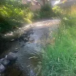 De La Couze Pavin * Besse-et-Saint-Anastaise