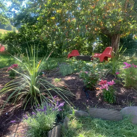 Дом отдыха De La Couze Pavin